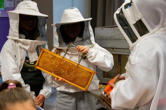 Les abeilles à l'honneur à l'école Raoul Briquet 🐝