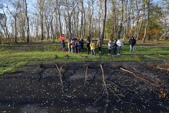 Des ateliers de plantation pour les enfants🌱